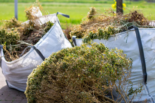 Full-Service Junk Removal in Lincoln Village, CA
